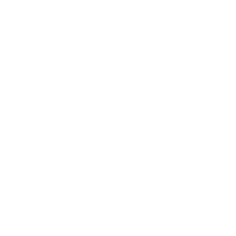 picto de connexion 4G