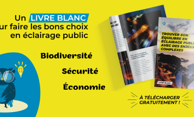 Un livre blanc pour faire les bons choix en éclairage public